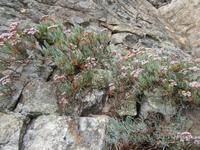 Los Roques (6)