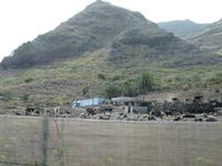 Masca (12)