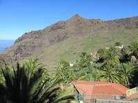 Masca (9)
