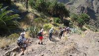 Masca Schlucht Wanderung