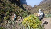 Masca Schlucht Wanderung