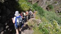 Masca Schlucht Wanderung
