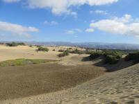 Maspalomas (25)