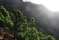 Nationalpark Caldera de Taburiente
