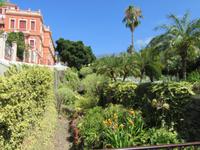Orotava (28)