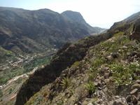 Palmental - La Gomera