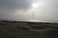 Playa de Inglés 
