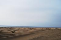 Playa de Inglés 