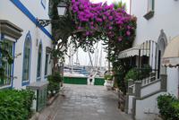 Puerto Mogán