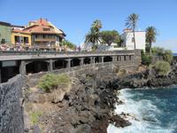 Puerto de la Cruz (7)