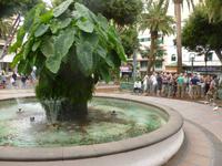 Puerto de la Cruz
