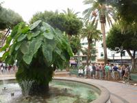 Puerto de la Cruz