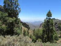 Roque Nublo (6)