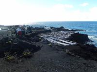 Salinas Marinas de Fuencaliente- La Palma