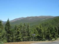 Teide (59)