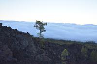 Teide Nationalpark