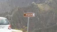 Tenerife - Mirador Amogoje (3)