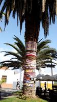 Tenerife - Puerto de la Cruz (5)
