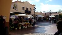 Tenerife - Santa Cruz (3)