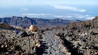 Tenerife - Teide (16)