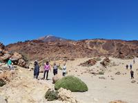 Teneriffa - Inselhüpfen auf den Kanaren - 12 Tage Rundreise auf den Kanarische Inseln