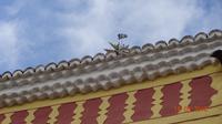 Teneriffa - La Laguna