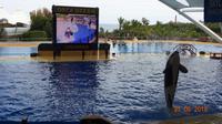 Teneriffa - Loro Parque