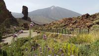 Teneriffa - Rundreise – Inselhüpfen auf den Kanaren