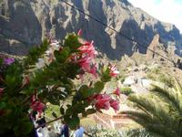Teneriffa