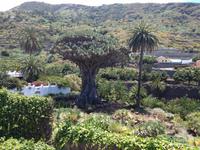 Teneriffa