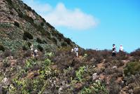 Teneriffa