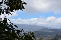 Teneriffa