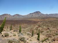 Teneriffa