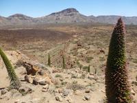 Teneriffa