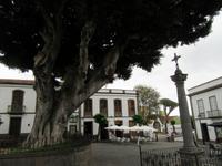 Teror (11)