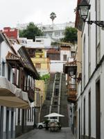 Teror (15)