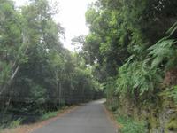 Vallehermoso (3)