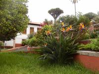 Villa de la Orotava