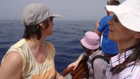 Wal und Delfinen Beobachtung La Gomera