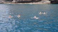 Wal und Delfinen Beobachtung La Gomera