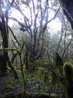 Wanderung durch den Märchenwald