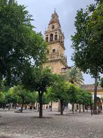 0319 Cordoba