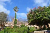 Andalusischer Garten