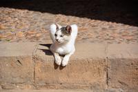 Wer ist hier der Chef?