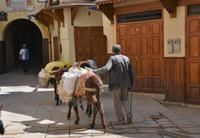 Transportunternehmen