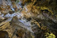 wie in einer Kathedrale