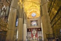 In der Kathedrale Santa Maria de la Sede