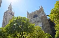 Blick aus dem Orangenhof