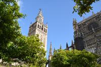 La Giralda und Kathedrale