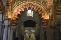 ungerade Zahl bringt Glück